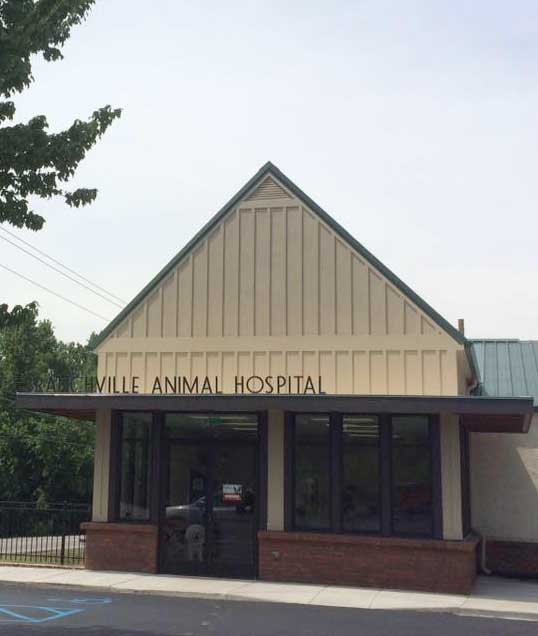 Odenville Vets | Veterinary Hospital