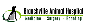 Link to Homepage of Branchville Animal Hospital